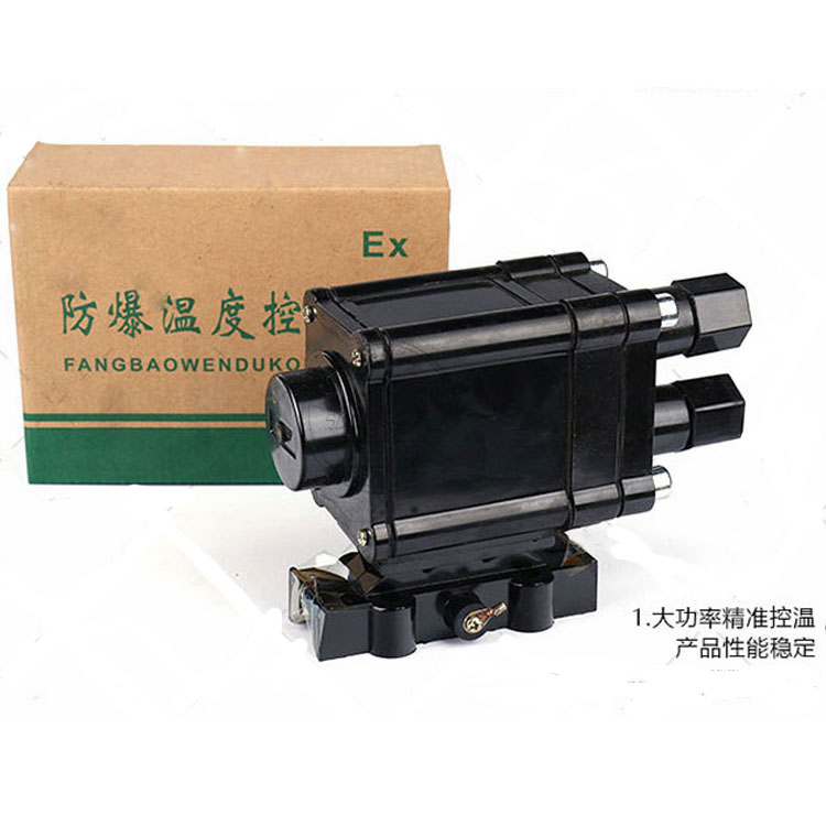 防爆温度控制器